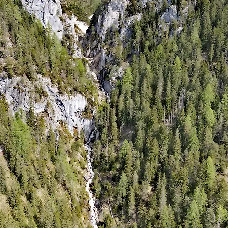 Fliegenpilz * Ramsau am Dachstein