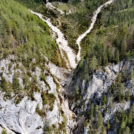 Fliegenpilz Ramsau am Dachstein