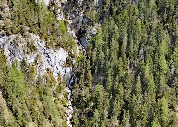 Fliegenpilz * Ramsau am Dachstein