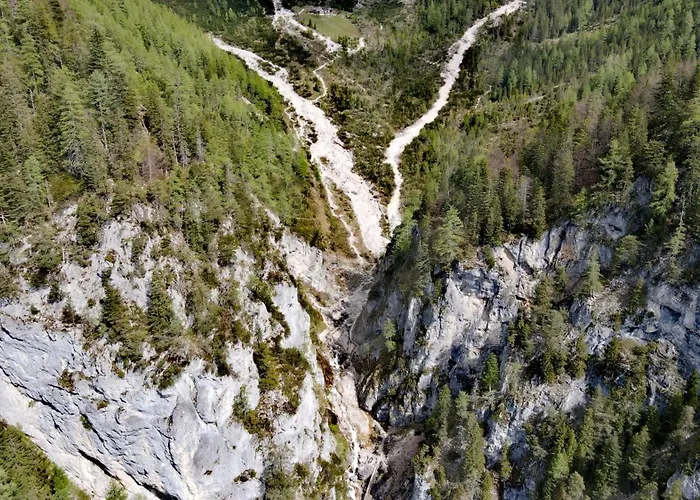 Fliegenpilz Ramsau am Dachstein