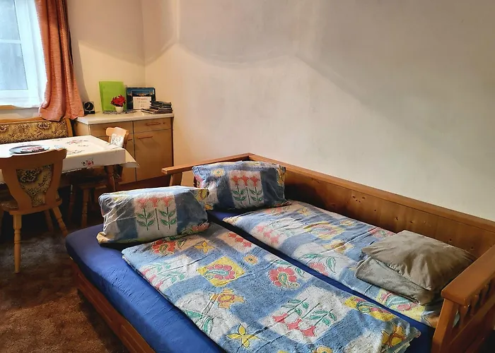 Fliegenpilz Ramsau am Dachstein